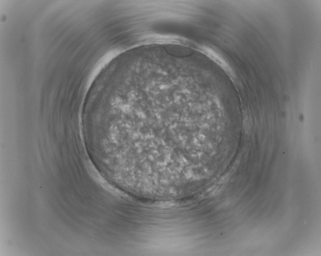 X0000071331283200607211958