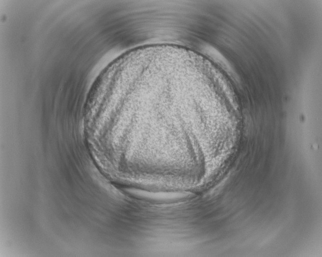 X0000071331284200607211958