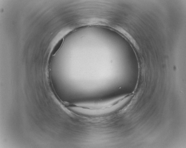 X0000071331285200607211958