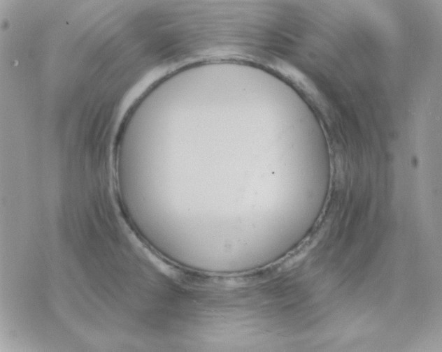 X0000071331286200607211958