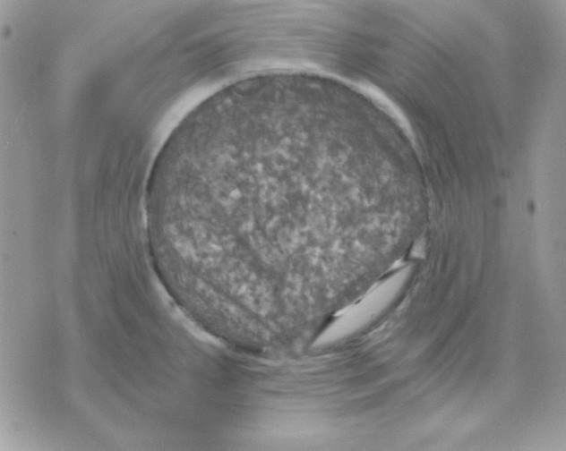 X0000071331287200607211958