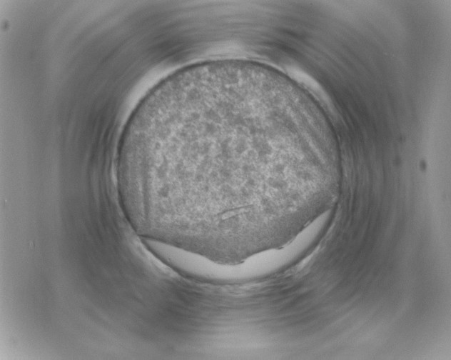 X0000071331288200607211958