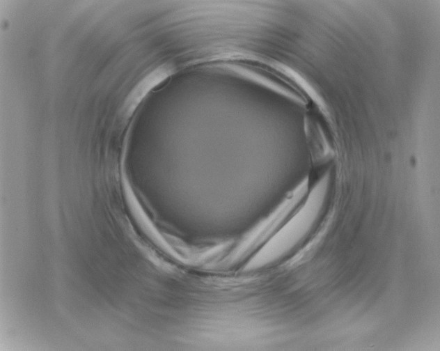 X0000071331289200607211958