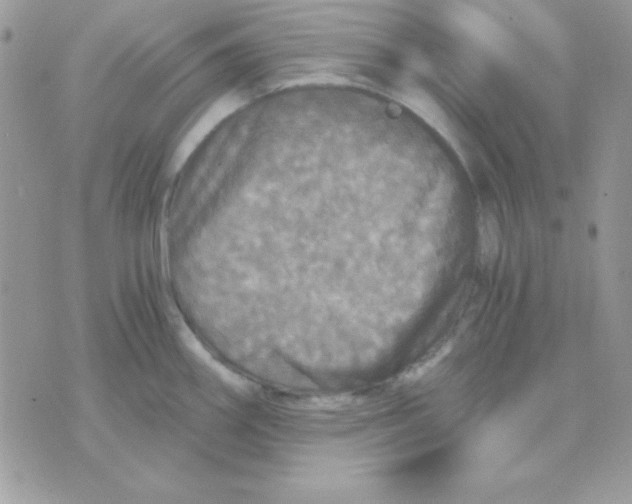 X0000071331290200607211958