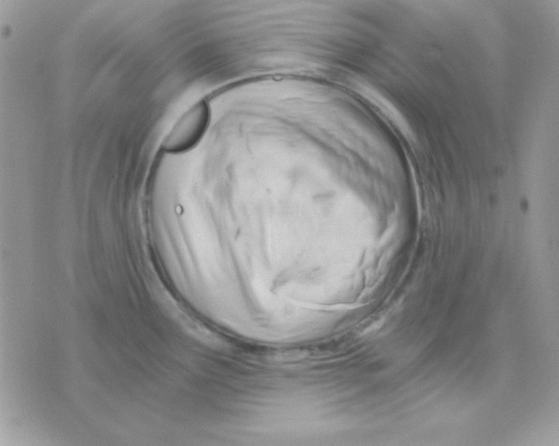 X0000071331291200607211958