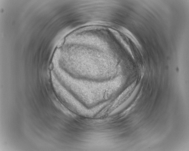 X0000071331292200607211958