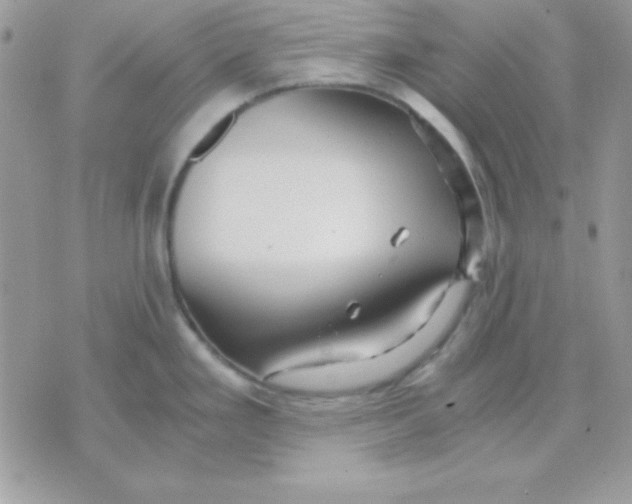 X0000071331293200607211958