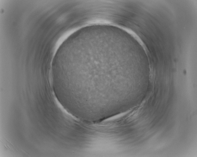 X0000071331295200607211958