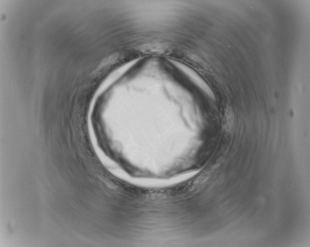 X0000071331297200607211957