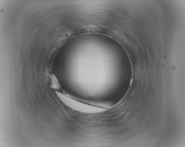 X0000071331298200607211957