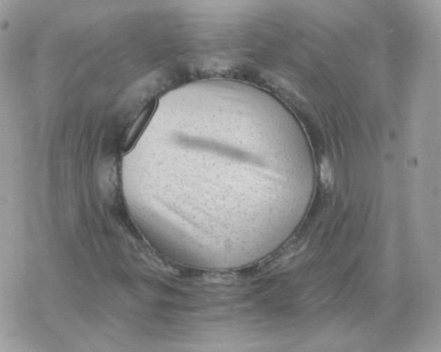 X0000071331299200607211957