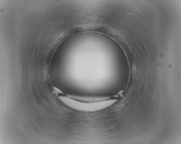 X0000071331300200607211957