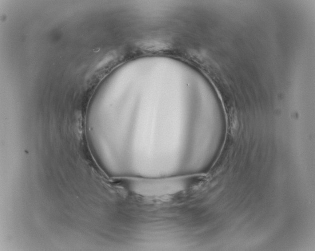 X0000071331301200607211957