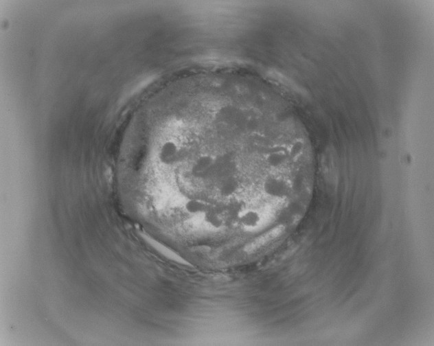 X0000071331302200607211957