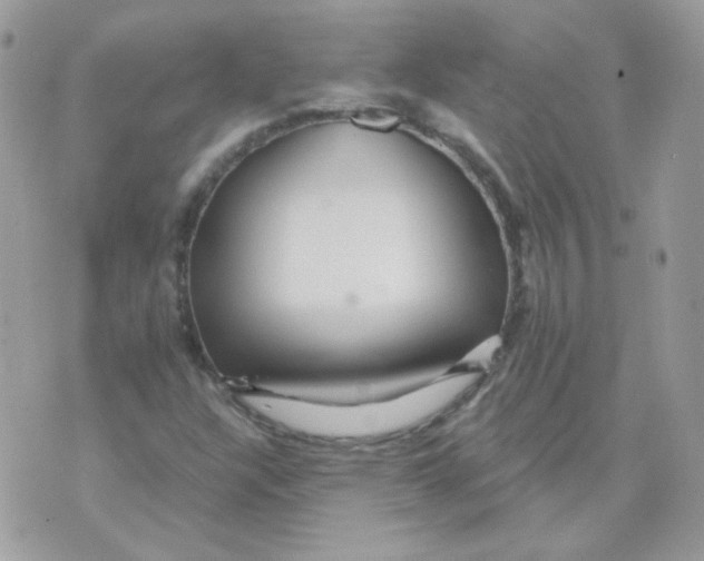 X0000071331304200607211957