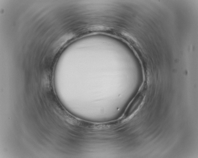 X0000071331305200607211957