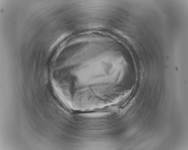 X0000071331306200607211957