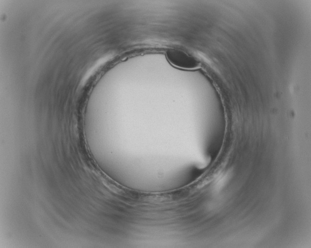 X0000071331307200607211957