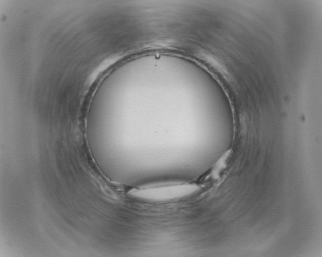 X0000071331308200607211957