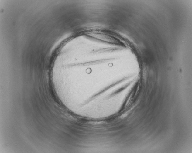 X0000071331309200607211957