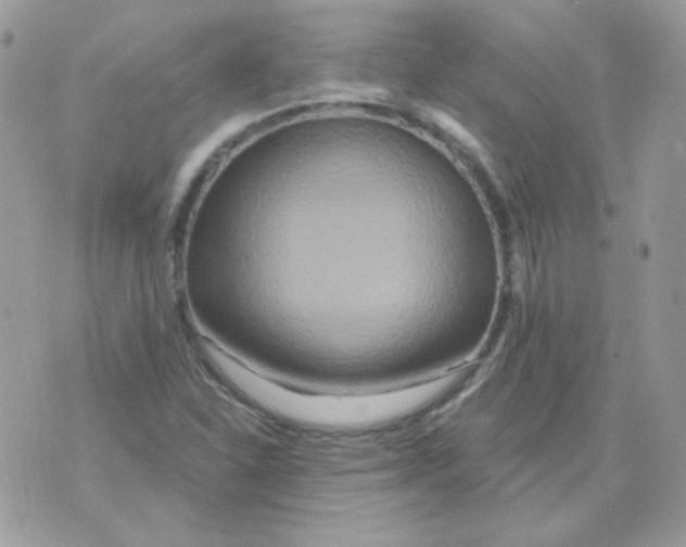 X0000071331310200607211957