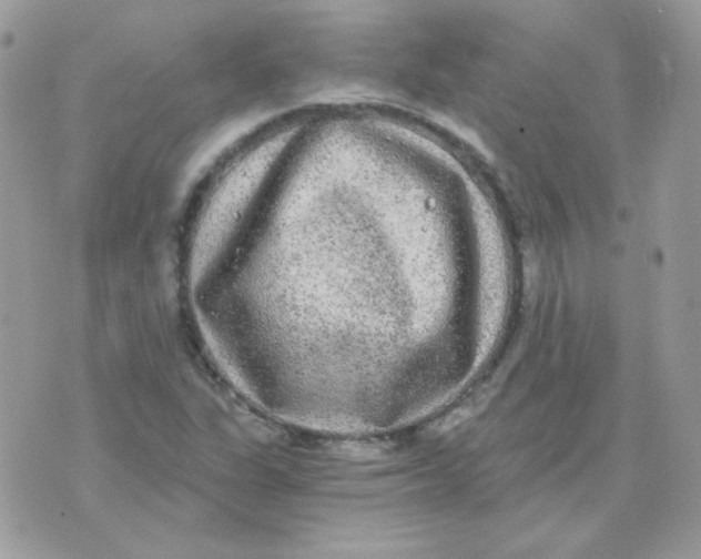 X0000071331311200607211957