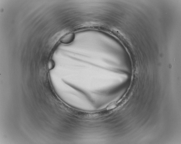 X0000071331313200607211957