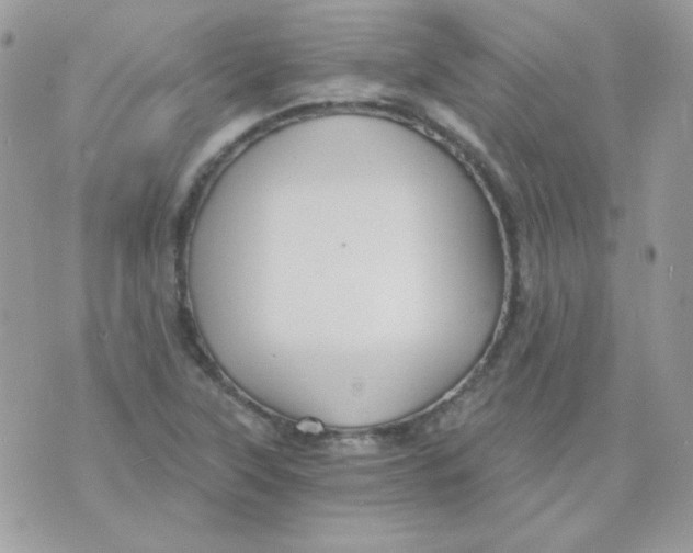 X0000071331315200607211957