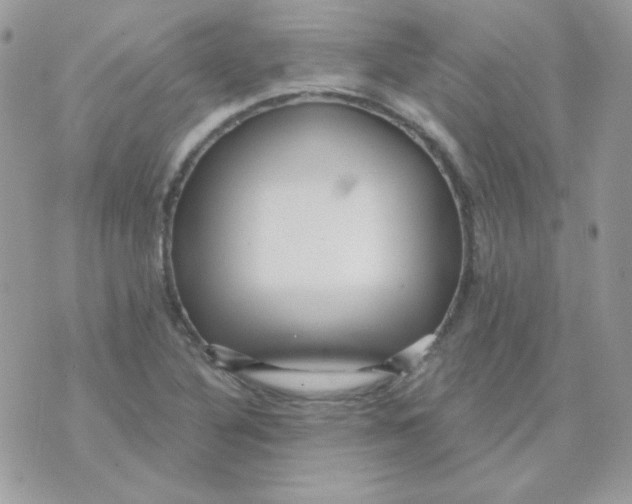 X0000071331316200607211957