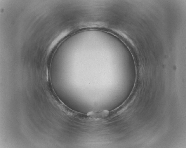 X0000071331317200607211957