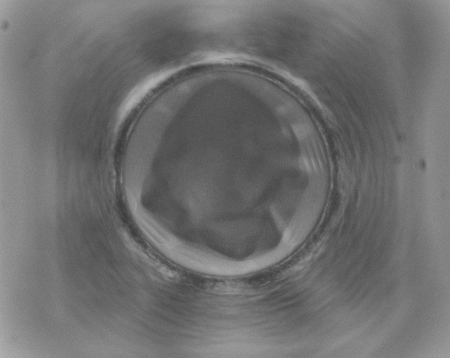 X0000071331319200607211957