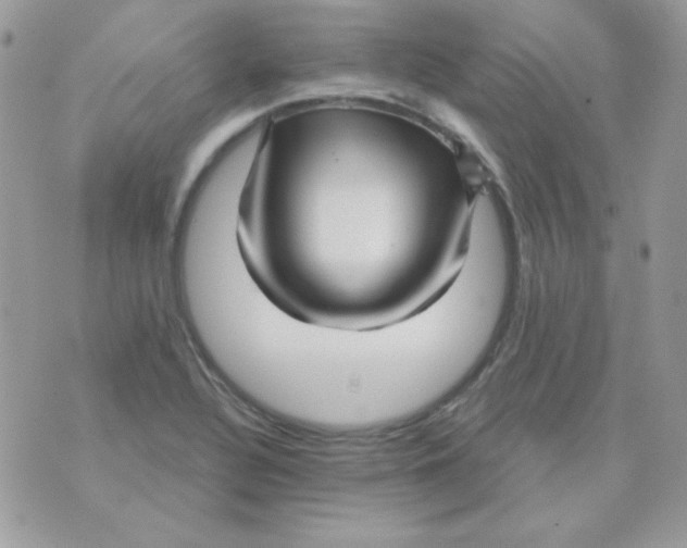 X0000071331320200607211957