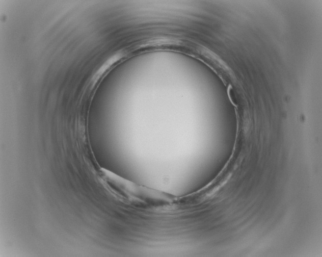 X0000071331321200607211957