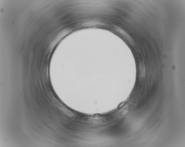 X0000071331322200607211957