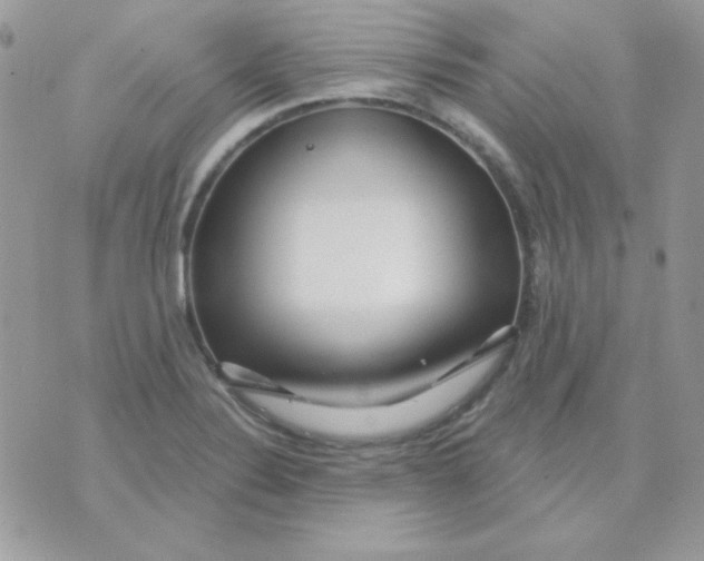 X0000071331324200607211957