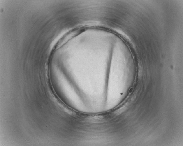 X0000071331325200607211957