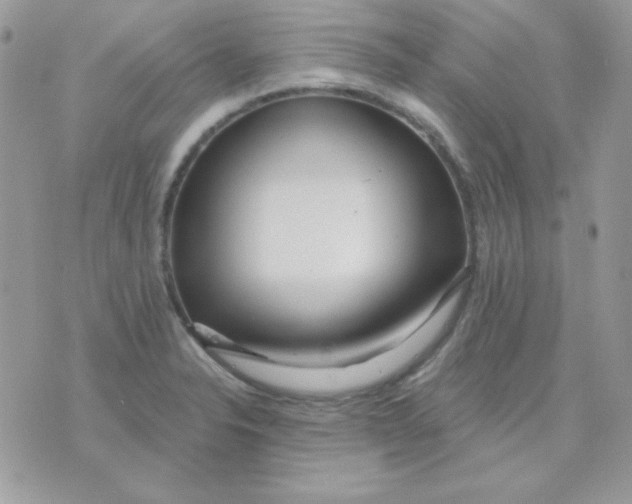 X0000071331326200607211957