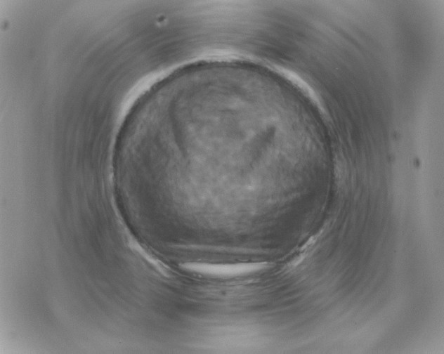 X0000071331327200607211957