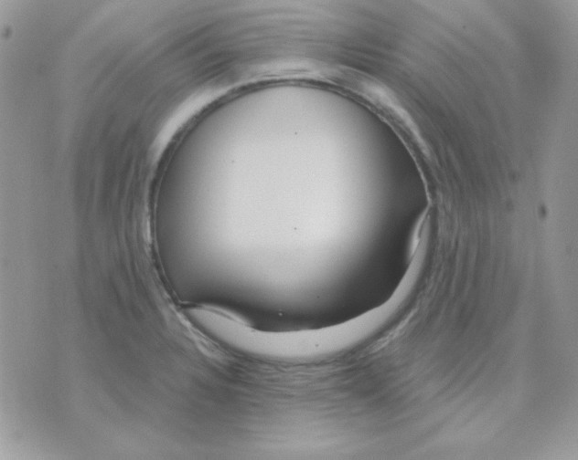 X0000071331328200607211957