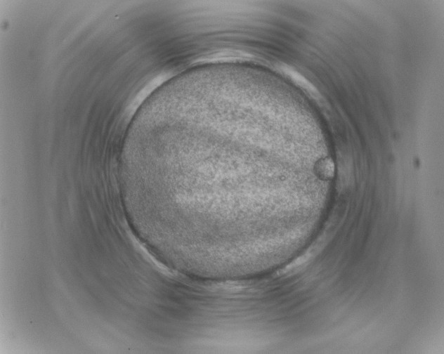 X0000071331329200607211957