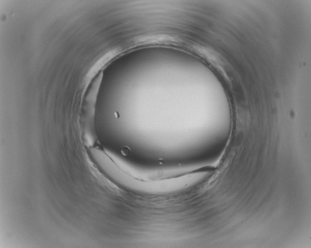 X0000071331330200607211957