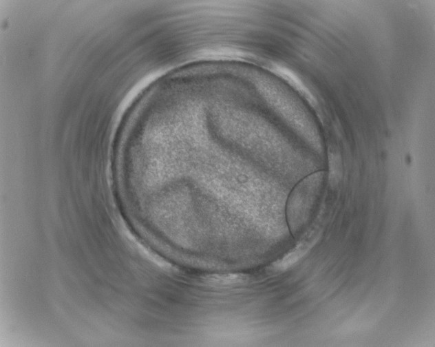 X0000071331331200607211957