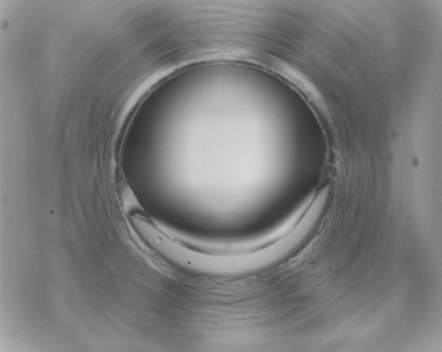 X0000071331332200607211957