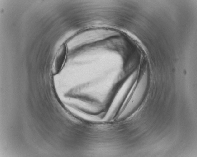 X0000071331333200607211957