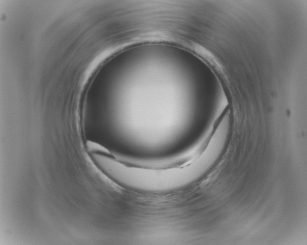 X0000071331334200607211957