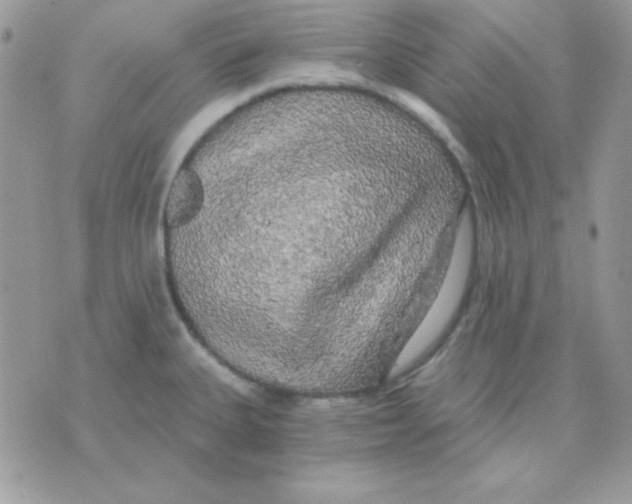 X0000071331335200607211957