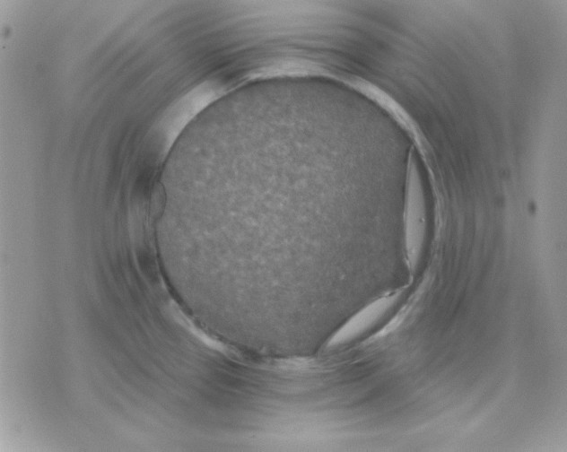 X0000071331337200607211957