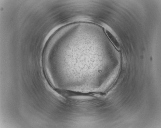 X0000071331339200607211957