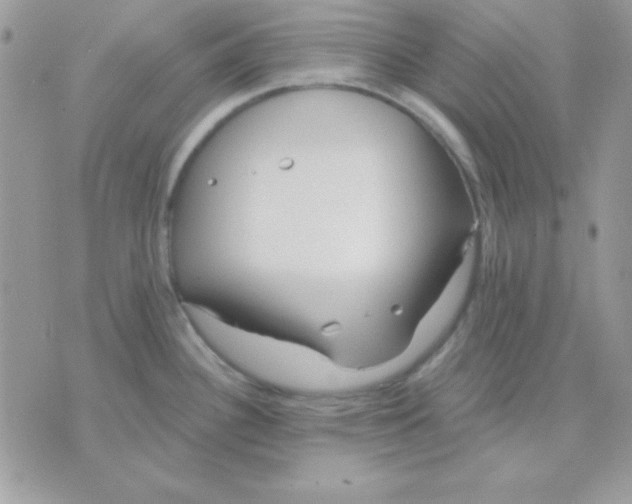 X0000071331340200607211957