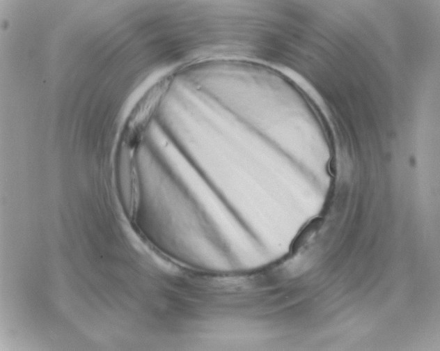 X0000071331341200607211958